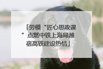 劳模“匠心思政课”点燃中铁上海局潍宿高铁建设热情