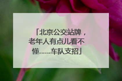 北京公交站牌，老年人有点儿看不懂……车队支招