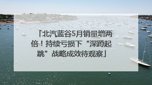 北汽蓝谷5月销量增两倍！持续亏损下“深蹲起跳”战略成效待观察