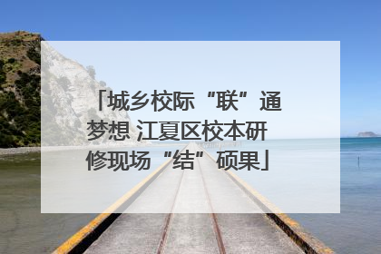 城乡校际“联”通梦想 江夏区校本研修现场“结”硕果