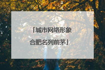 城市网络形象合肥名列前茅