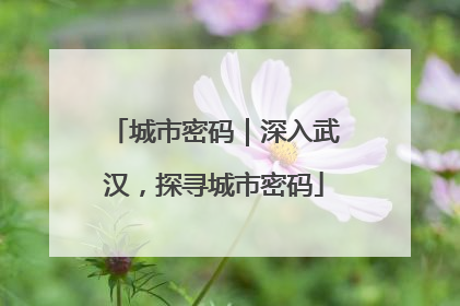 城市密码｜深入武汉，探寻城市密码