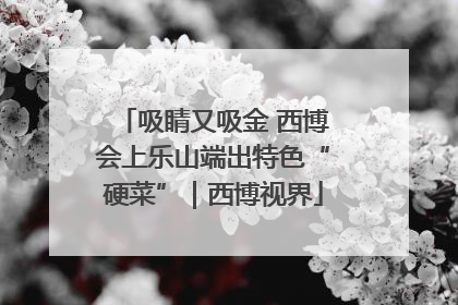 吸睛又吸金 西博会上乐山端出特色“硬菜”｜西博视界