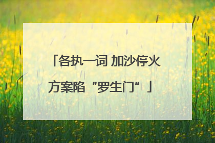 各执一词 加沙停火方案陷“罗生门”