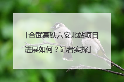 合武高铁六安北站项目进展如何？记者实探