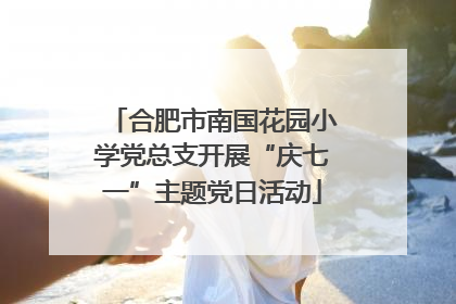 合肥市南国花园小学党总支开展“庆七一”主题党日活动