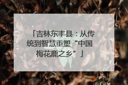 吉林东丰县：从传统到智慧重塑“中国梅花鹿之乡”