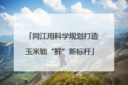 同江用科学规划打造玉米锁“鲜”新标杆