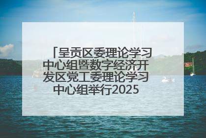 呈贡区委理论学习中心组暨数字经济开发区党工委理论学习中心组举行2025年第七次学习会议