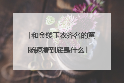 和金缕玉衣齐名的黄肠题凑到底是什么
