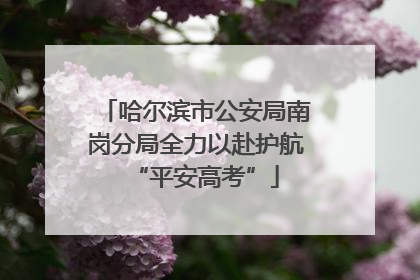 哈尔滨市公安局南岗分局全力以赴护航“平安高考”
