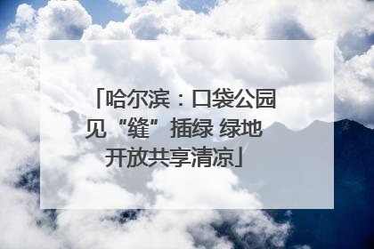 哈尔滨：口袋公园见“缝”插绿 绿地开放共享清凉