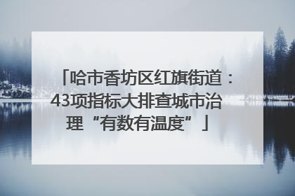 哈市香坊区红旗街道：43项指标大排查城市治理“有数有温度”