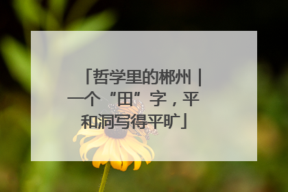 哲学里的郴州｜一个“田”字，平和洞写得平旷