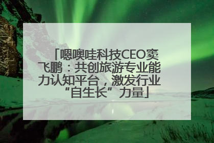 嗯噢哇科技CEO窦飞鹏：共创旅游专业能力认知平台，激发行业“自生长”力量