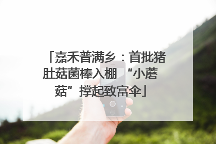 嘉禾普满乡：首批猪肚菇菌棒入棚 “小蘑菇”撑起致富伞