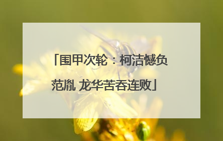 围甲次轮：柯洁憾负范胤 龙华苦吞连败