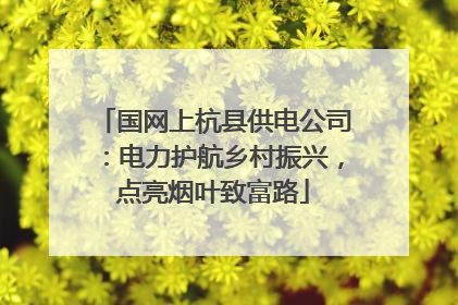 国网上杭县供电公司：电力护航乡村振兴，点亮烟叶致富路