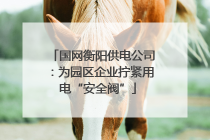国网衡阳供电公司：为园区企业拧紧用电“安全阀”