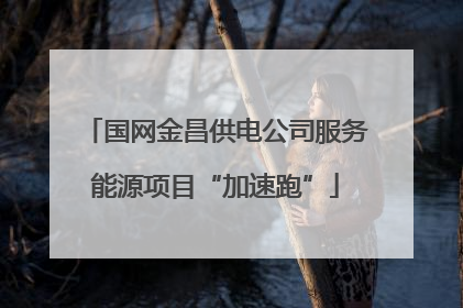 国网金昌供电公司服务能源项目“加速跑”