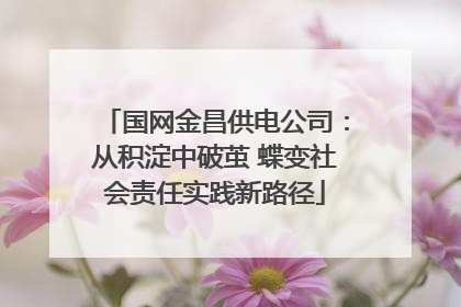 国网金昌供电公司：从积淀中破茧 蝶变社会责任实践新路径