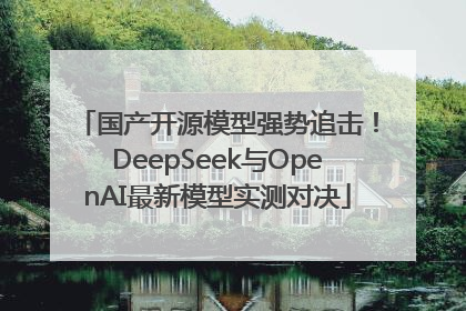 国产开源模型强势追击！DeepSeek与OpenAI最新模型实测对决