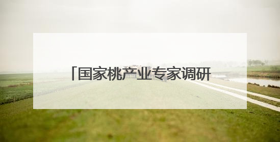 国家桃产业专家调研青岛农科院 共商产业升级与技术创新