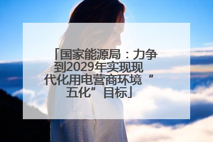 国家能源局：力争到2029年实现现代化用电营商环境“五化”目标