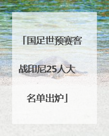 国足世预赛客战印尼25人大名单出炉