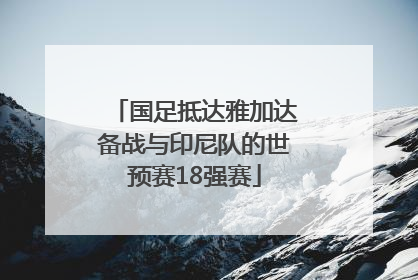 国足抵达雅加达备战与印尼队的世预赛18强赛