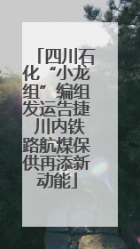 四川石化“小龙组”编组发运告捷 川内铁路航煤保供再添新动能