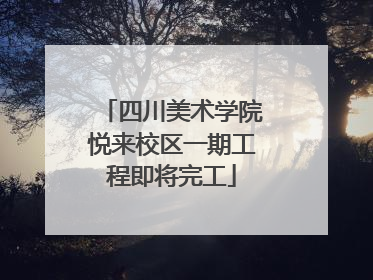 四川美术学院悦来校区一期工程即将完工
