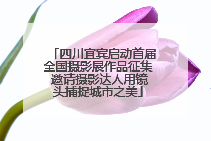 四川宜宾启动首届全国摄影展作品征集 邀请摄影达人用镜头捕捉城市之美