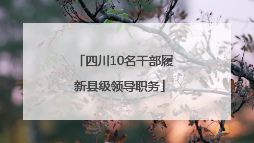 四川10名干部履新县级领导职务