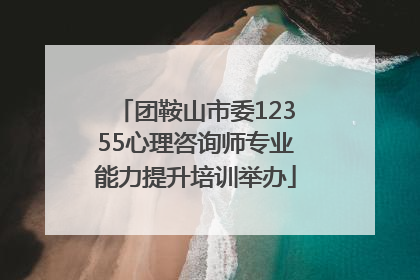 团鞍山市委12355心理咨询师专业能力提升培训举办