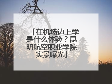 在机场边上学是什么体验？昆明航空职业学院实景曝光