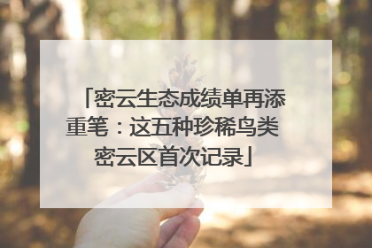 密云生态成绩单再添重笔：这五种珍稀鸟类密云区首次记录