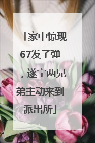 家中惊现67发子弹，遂宁两兄弟主动来到派出所