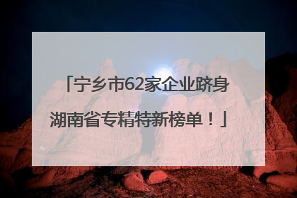 宁乡市62家企业跻身湖南省专精特新榜单！