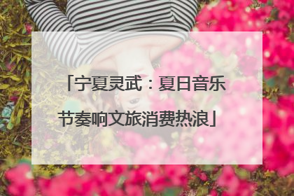 宁夏灵武：夏日音乐节奏响文旅消费热浪