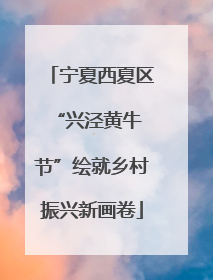 宁夏西夏区 “兴泾黄牛节”绘就乡村振兴新画卷