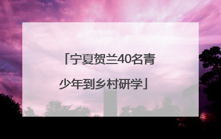 宁夏贺兰40名青少年到乡村研学