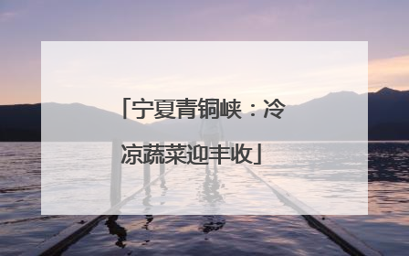 宁夏青铜峡：冷凉蔬菜迎丰收
