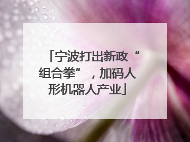 宁波打出新政“组合拳”，加码人形机器人产业
