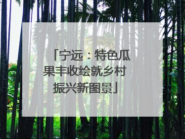 宁远：特色瓜果丰收绘就乡村振兴新图景