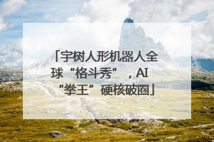 宇树人形机器人全球“格斗秀”，AI“拳王”硬核破圈