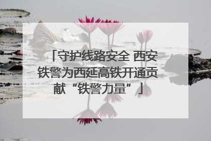 守护线路安全 西安铁警为西延高铁开通贡献“铁警力量”