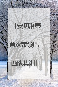 安切洛蒂首次带领巴西队集训