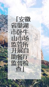 安徽省巢湖市卧牛山市场监管所开展自助餐厅监督检查