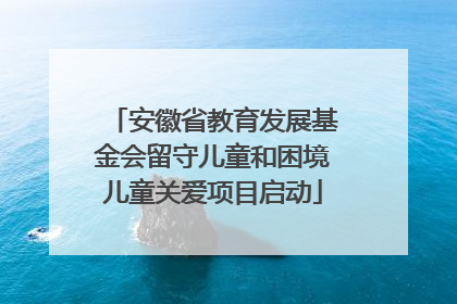 安徽省教育发展基金会留守儿童和困境儿童关爱项目启动